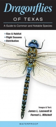 Dragonflies of Texas - Click Image to Close