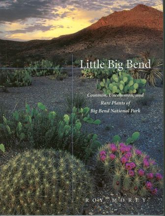 Little Big Bend - Click Image to Close